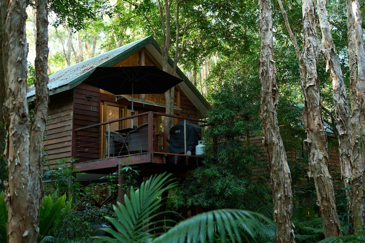Treehouse
