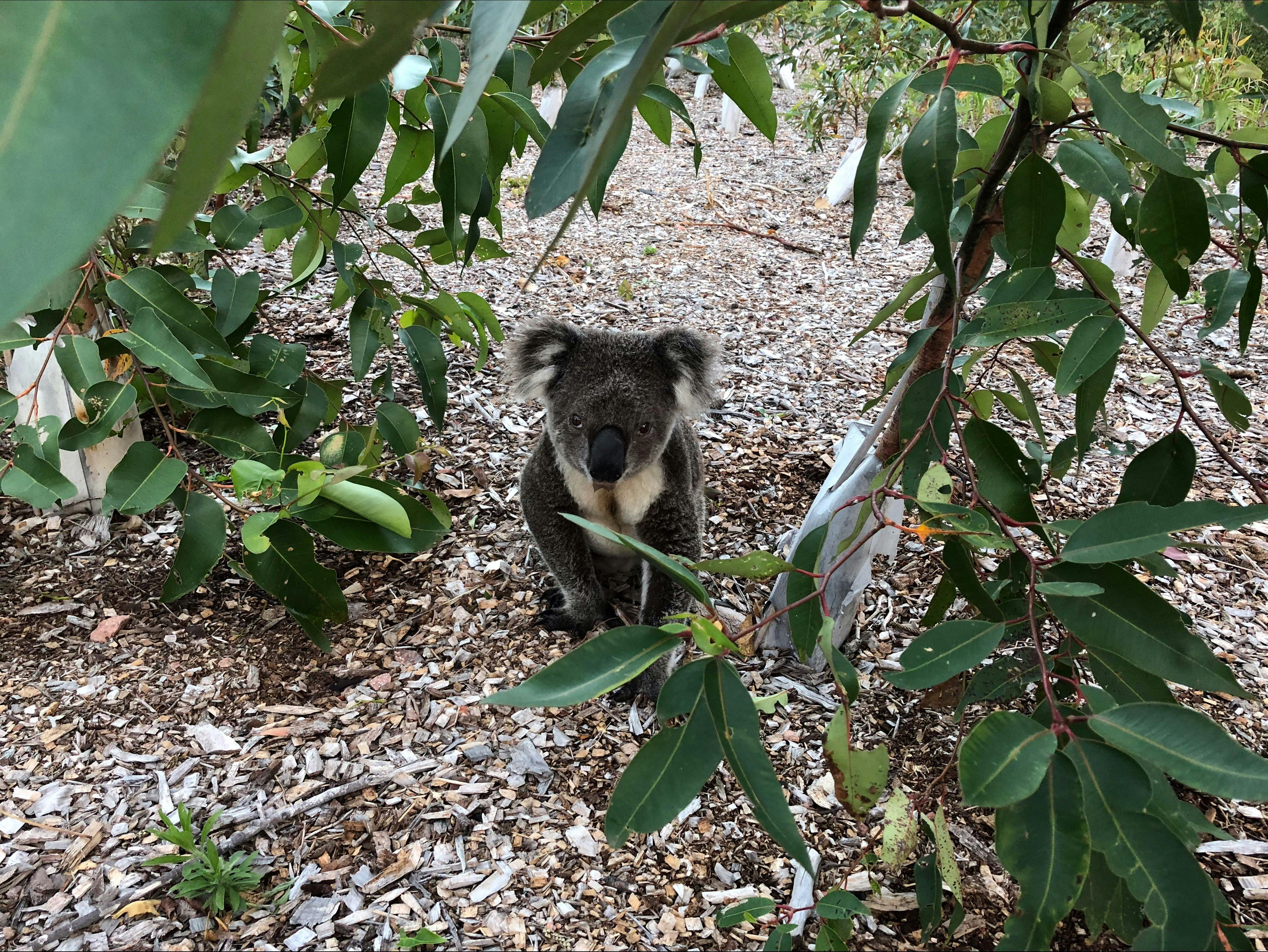 Meet our regular guests