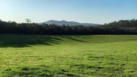 Wild Hope Farm