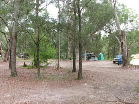 Wallingat River campground