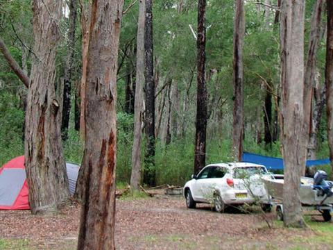 Wallingat River campground