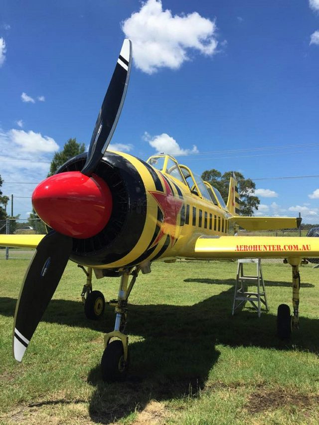 Aerohunter