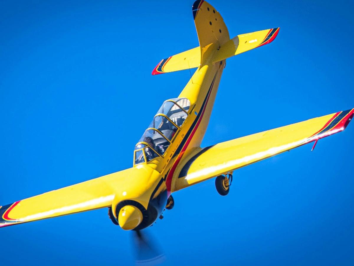 image flight
