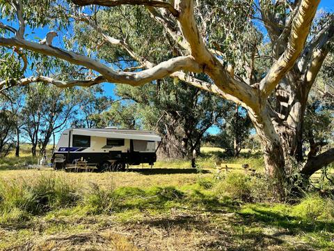 Wendouree Creek Paddock