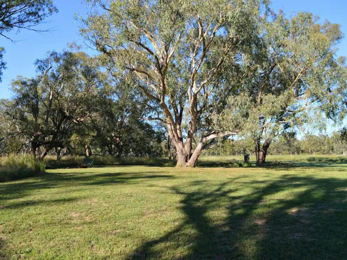 Wendouree Creek Paddock