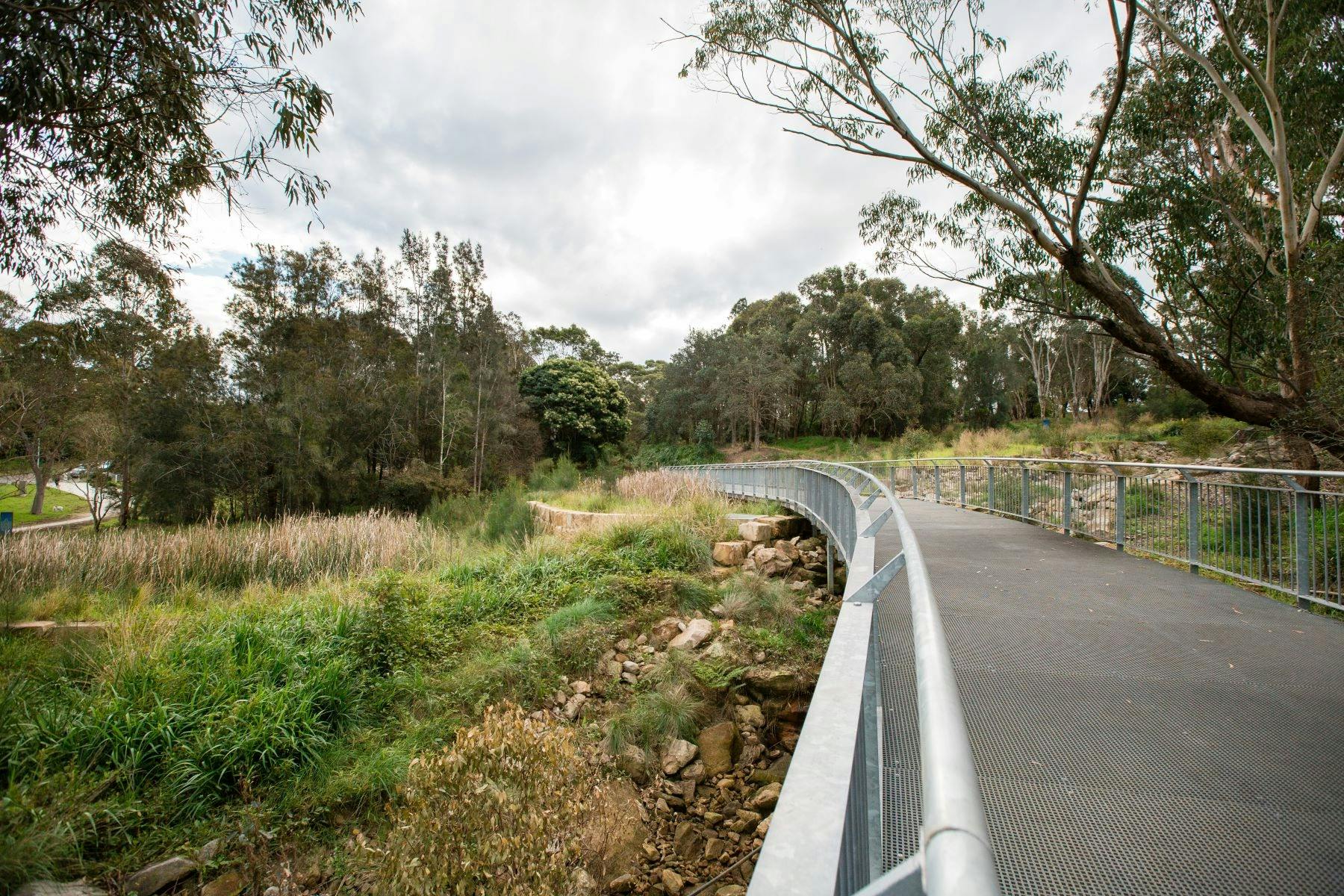 A pathway through the greenery at Gannons Park