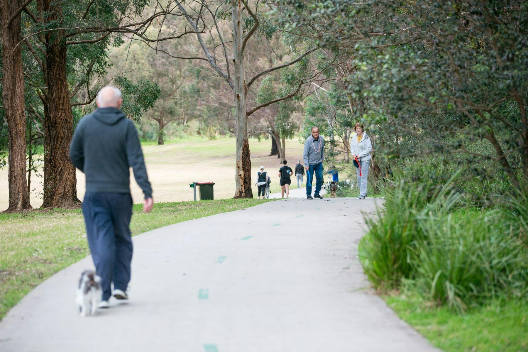 Pet friends enjoy their walk to the off-leash area