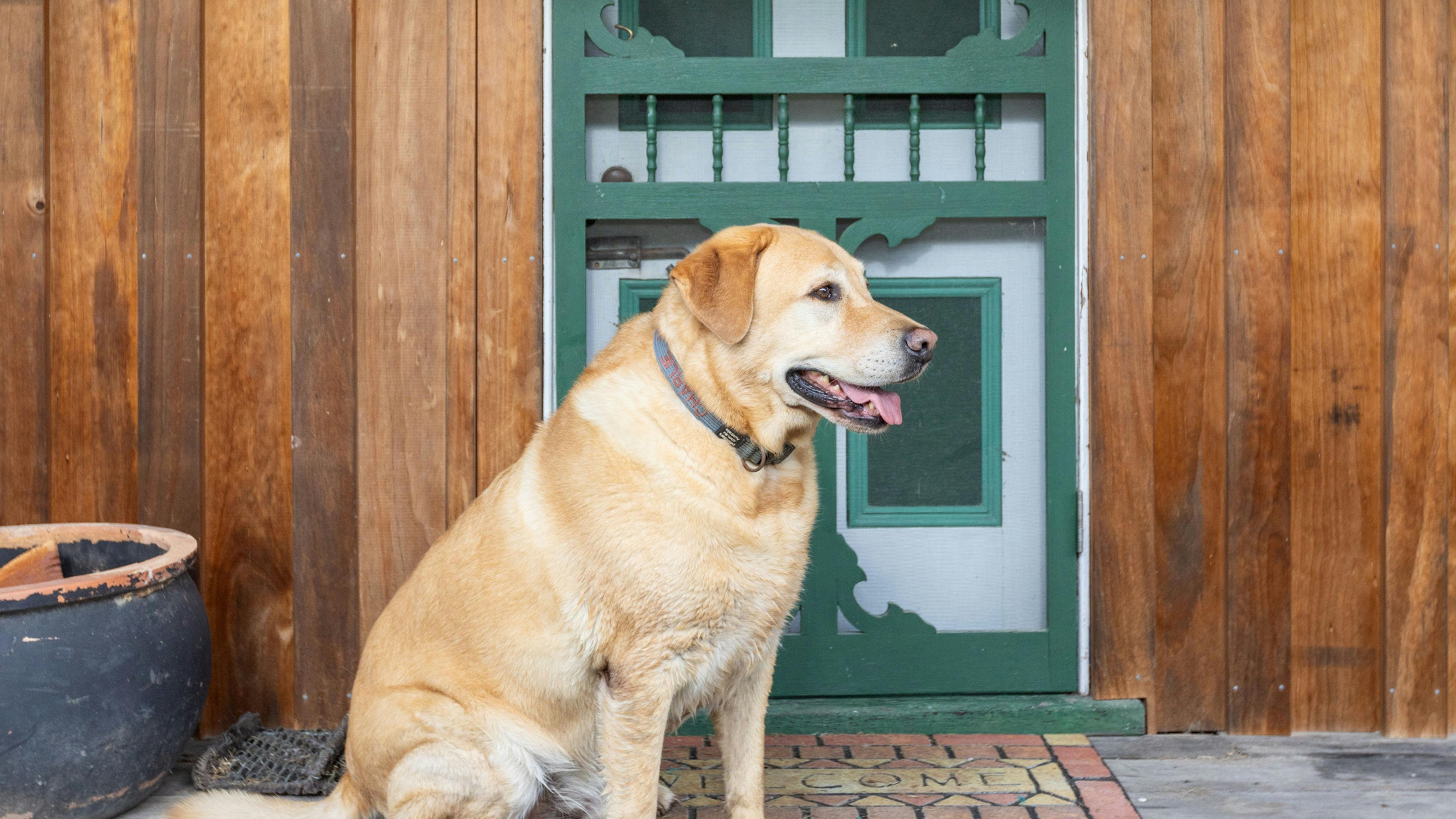 Watagan: BYO Horse Holiday