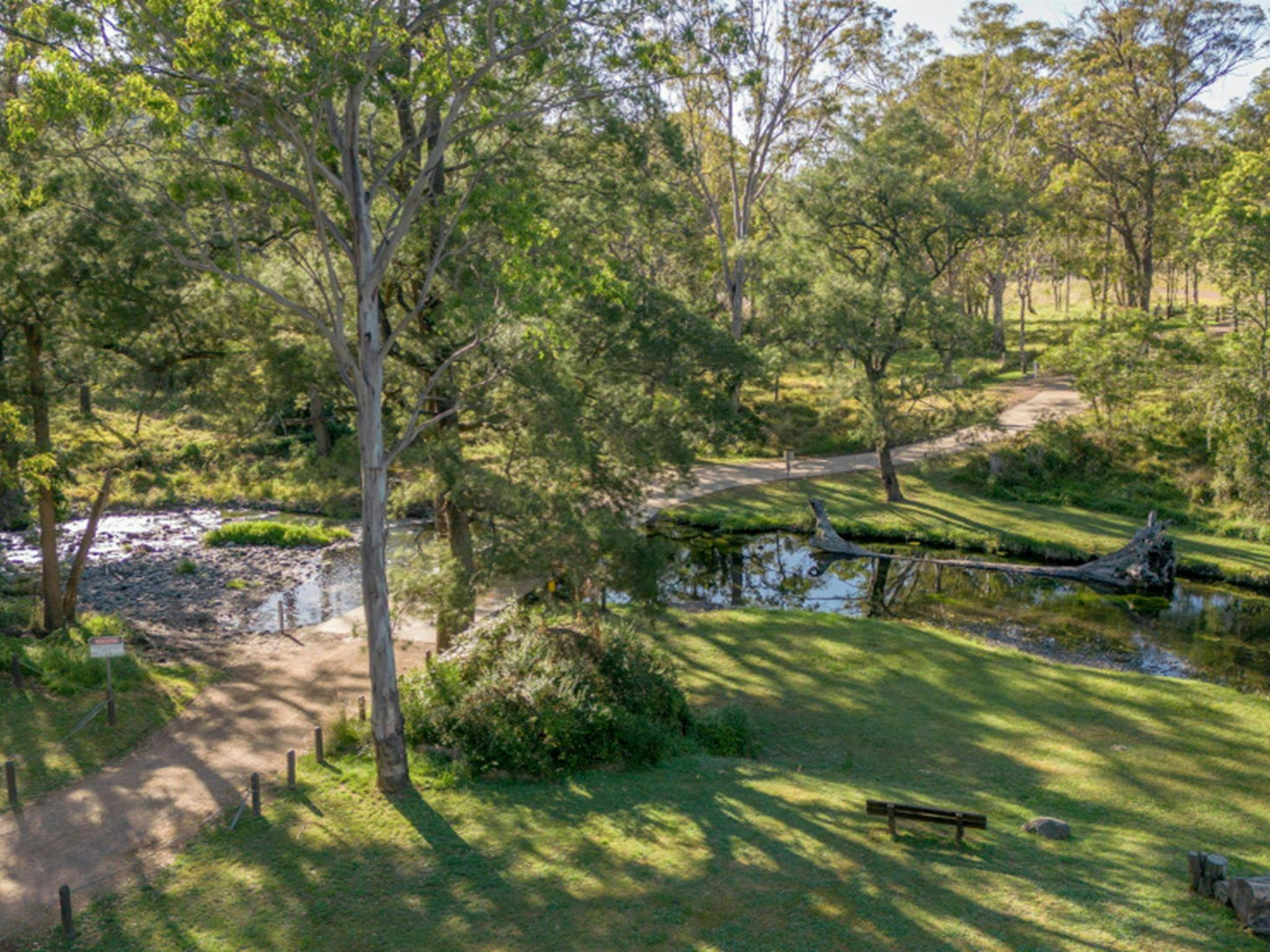 The grassy banks of Middle Brook at Washpools campground in Towarri National Park. Photo: John