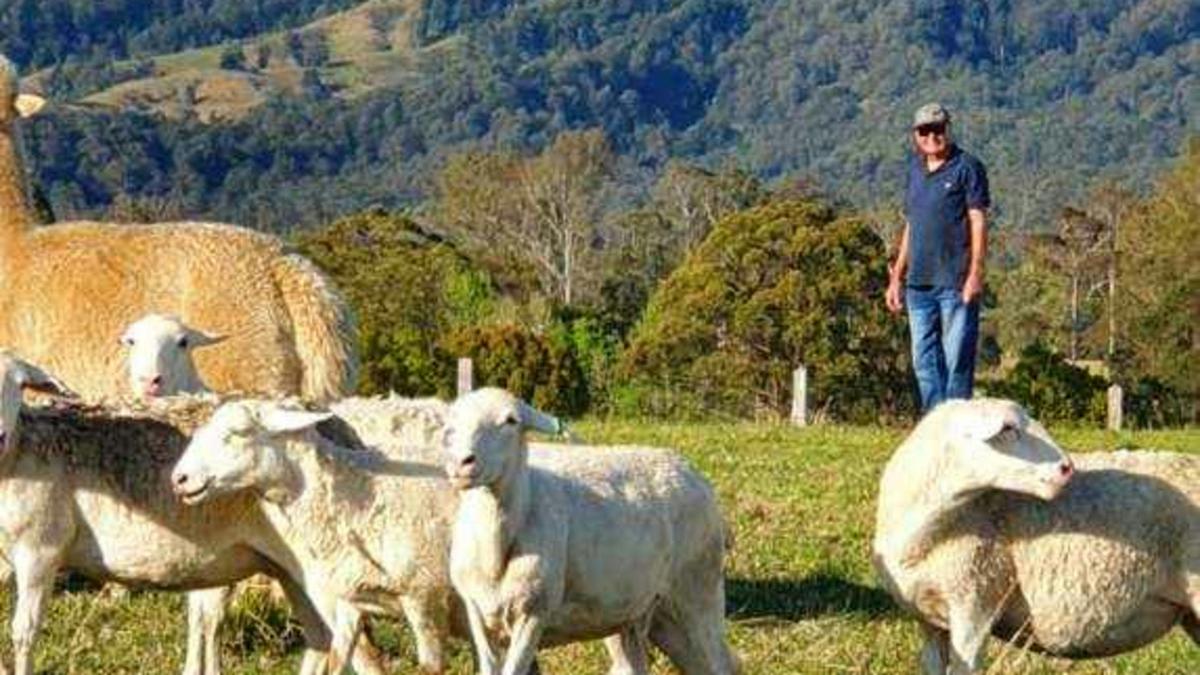 Whispering Mountain Farm
