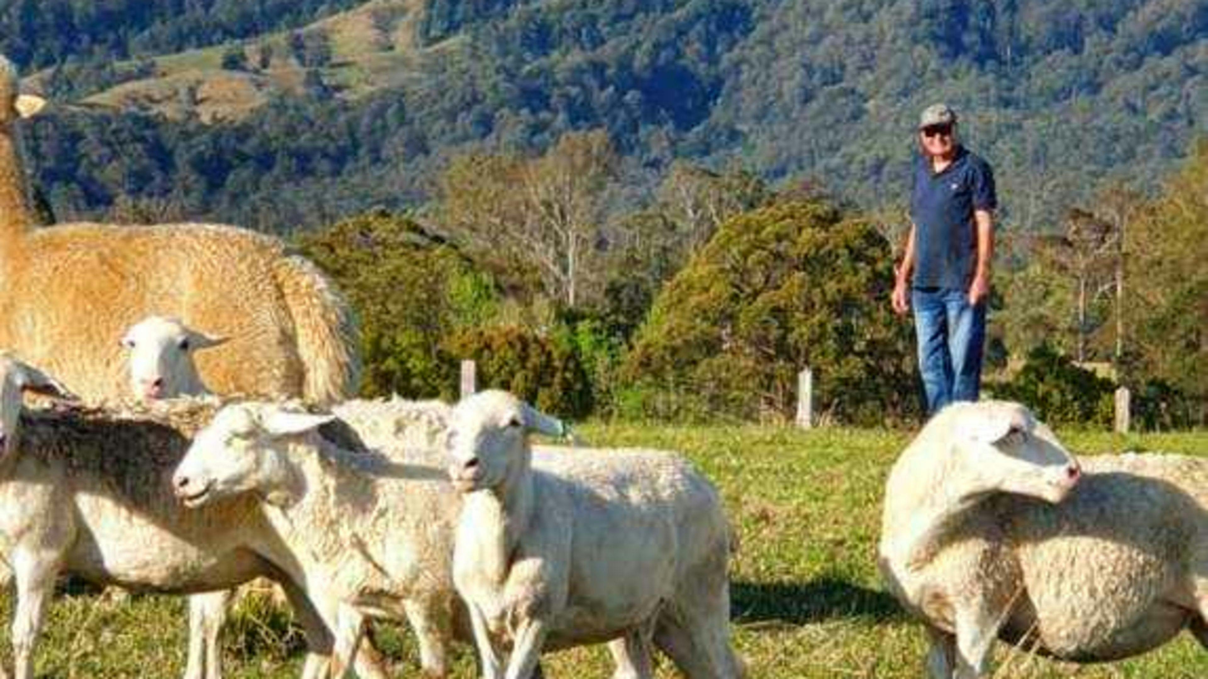 Whispering Mountain Farm