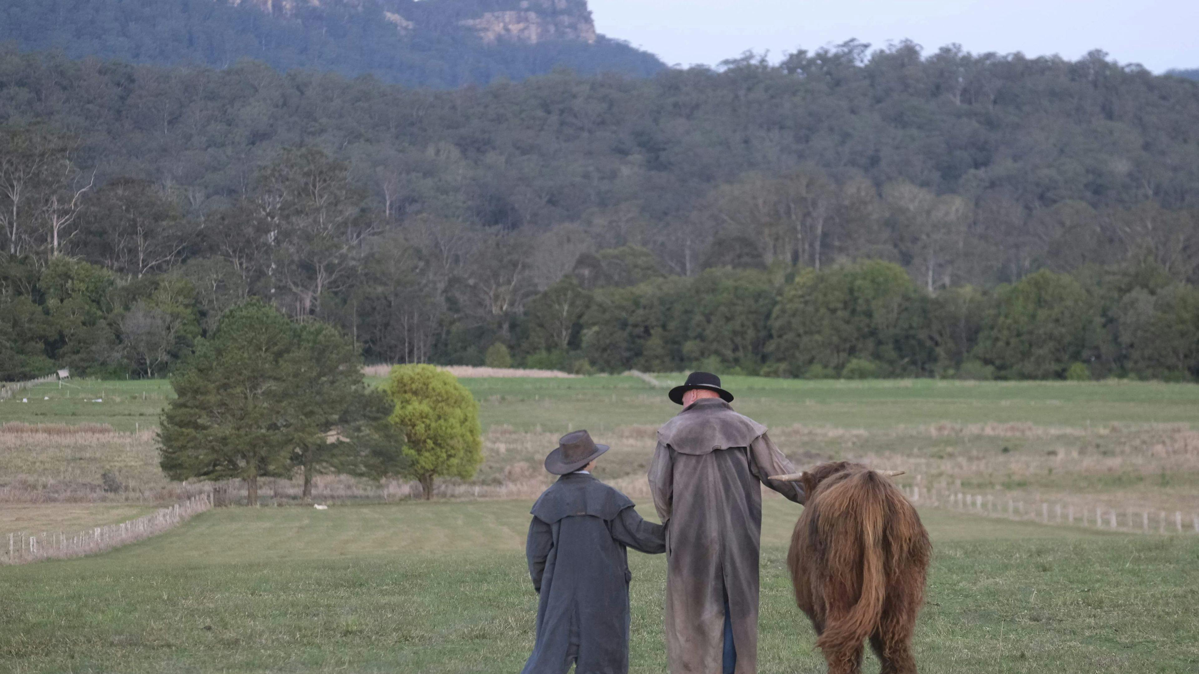 Whispering Mountain Farm