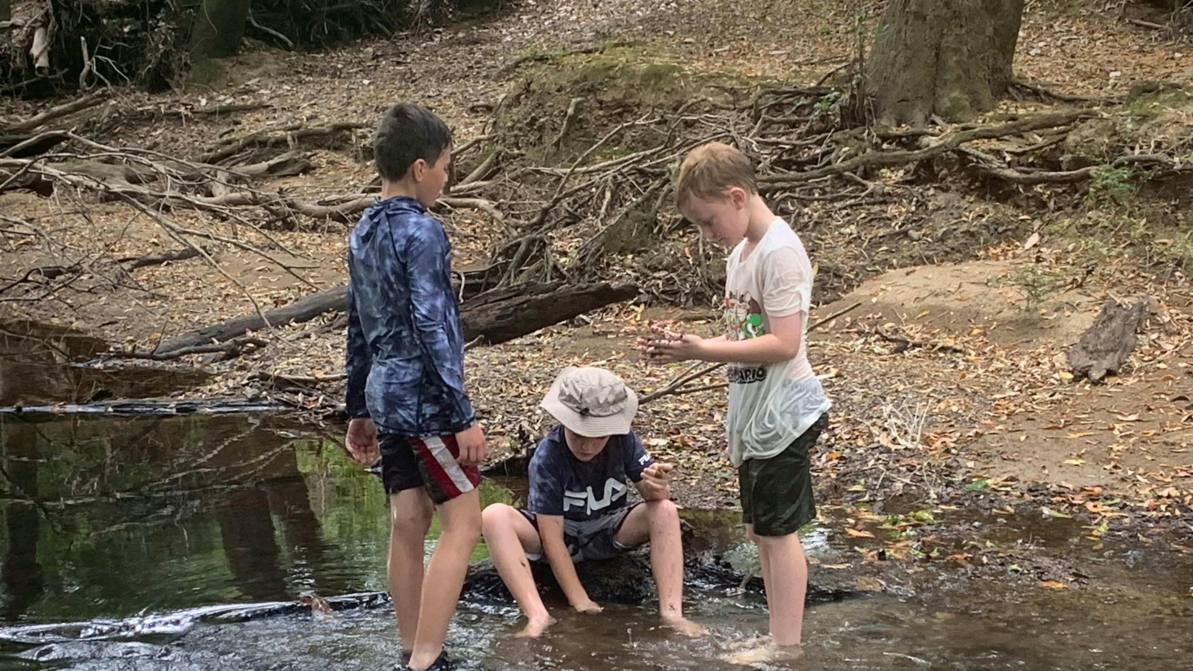 Whispering Mountain Farm