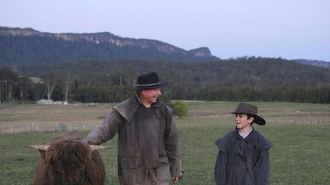 Whispering Mountain Farm