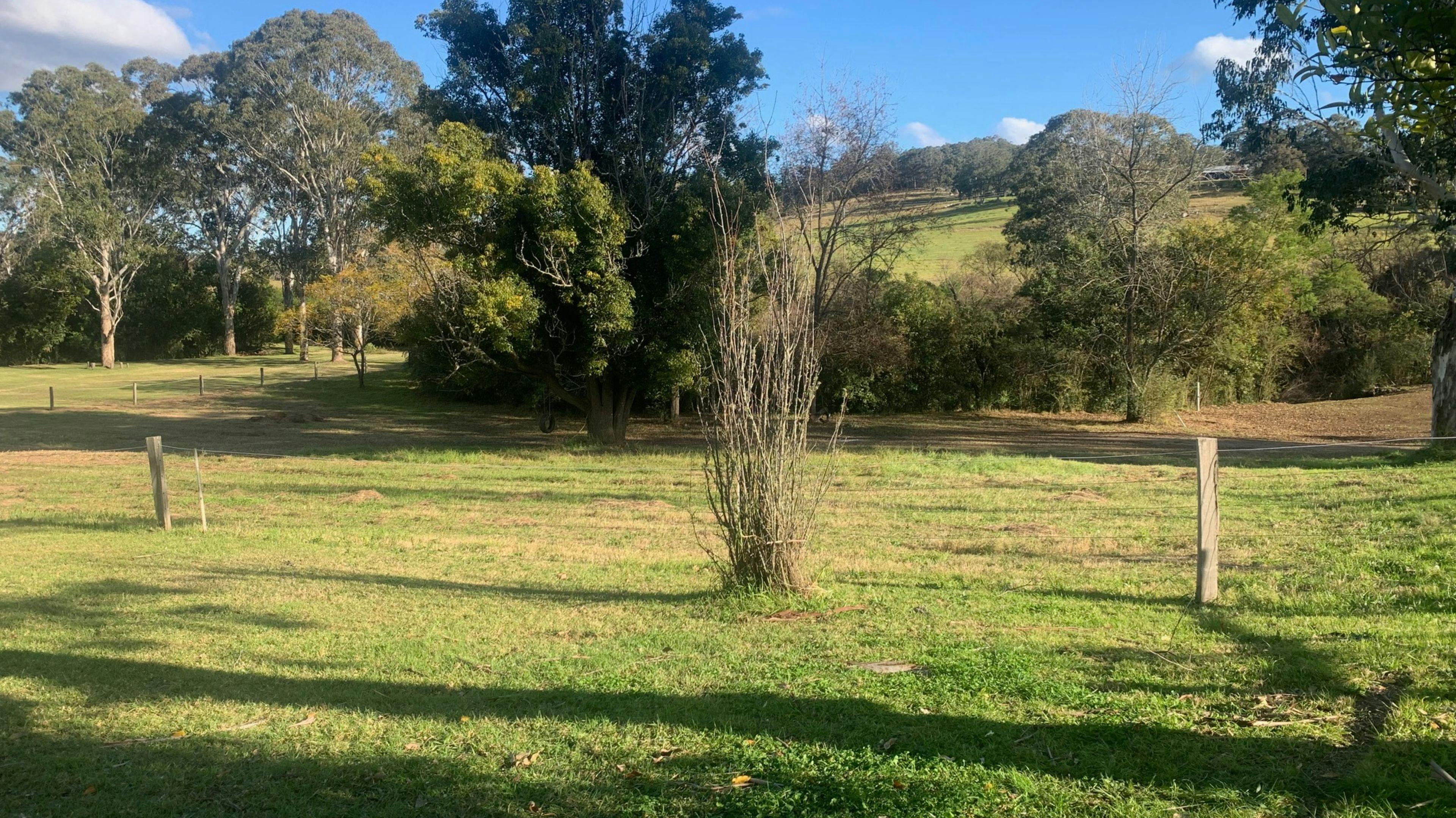 The Old Pub House Wollombi Camping