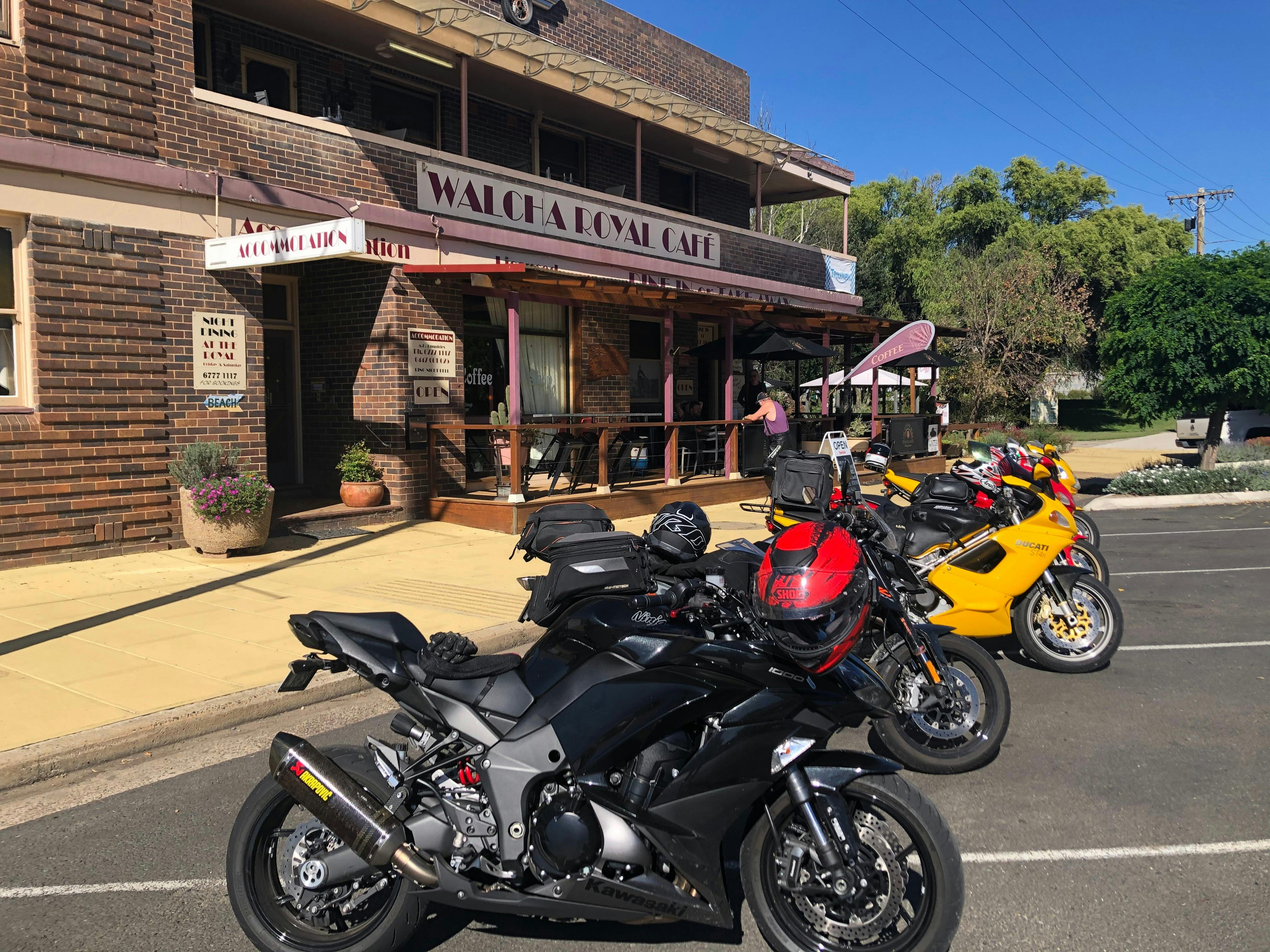 Walcha Royal