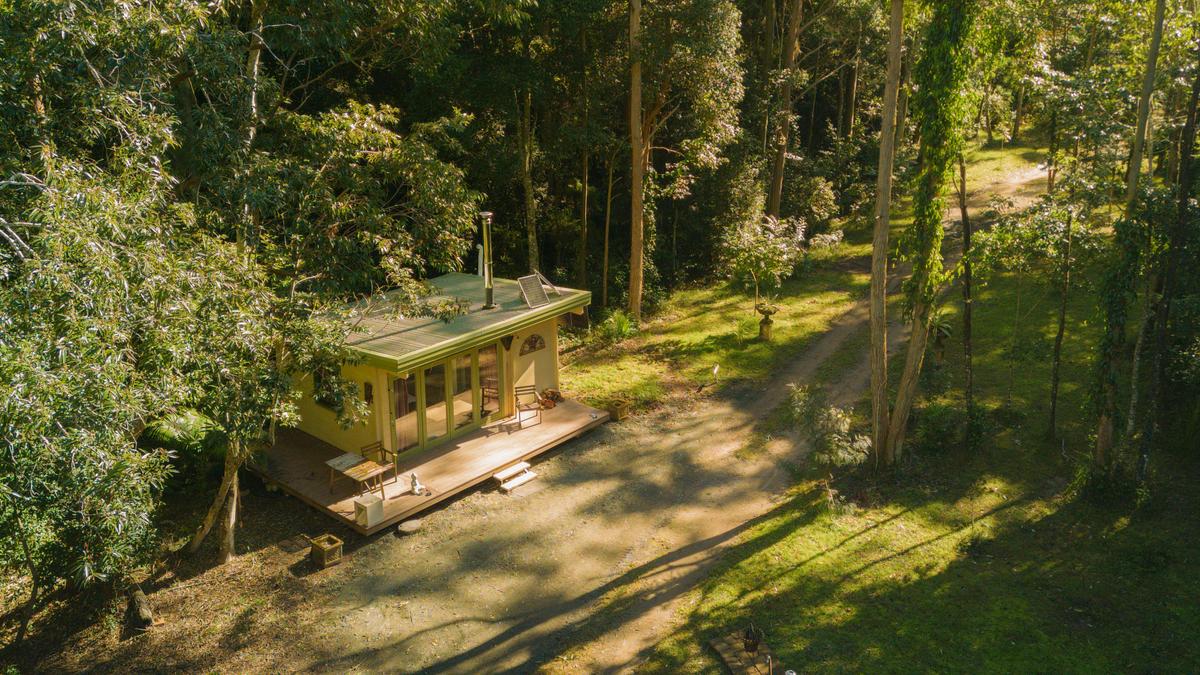 Wombat's Forrest