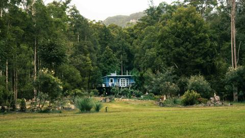 Wombat's Forrest