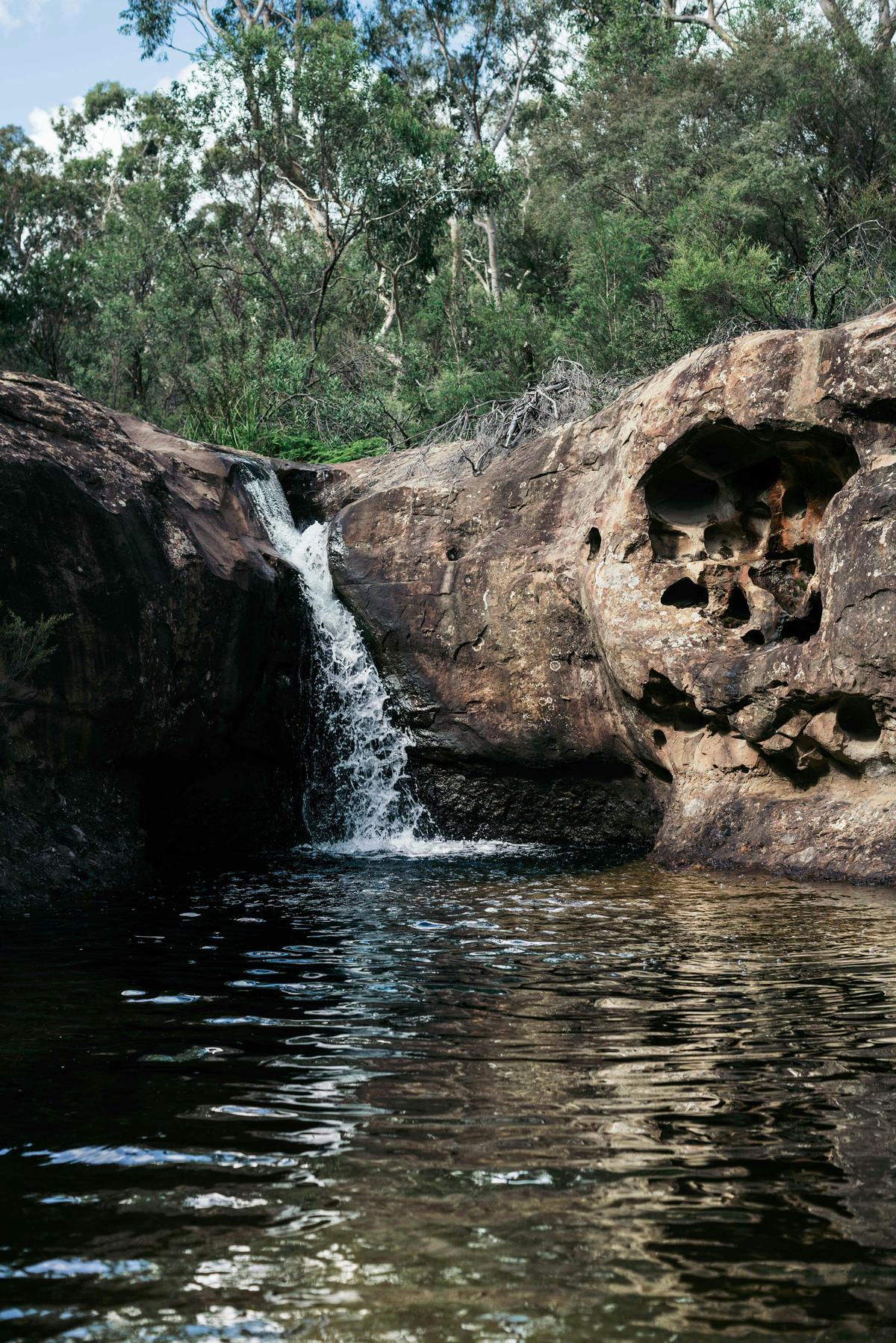 Back Creek