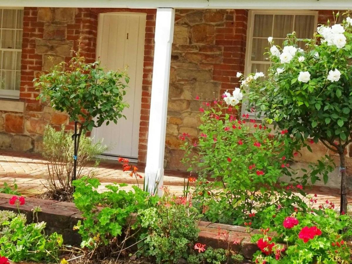 Garden at White Rose Cottage