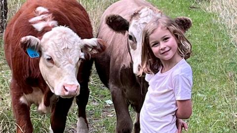 Wings of the Carribee