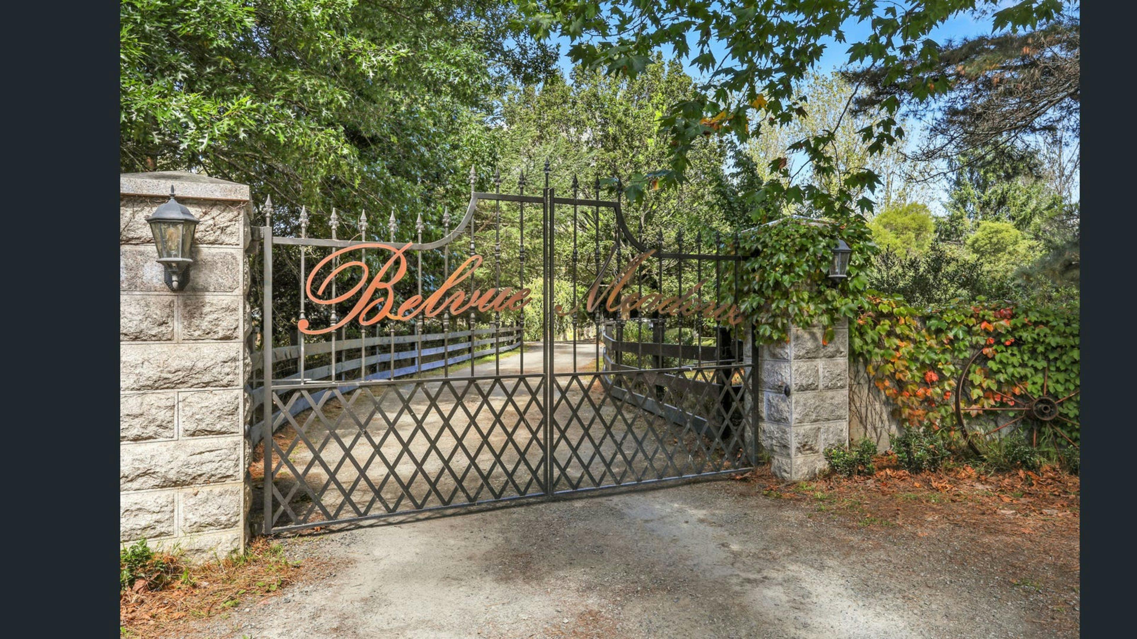 Wings of the Carribee