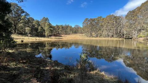 100 Acres to Yourself
