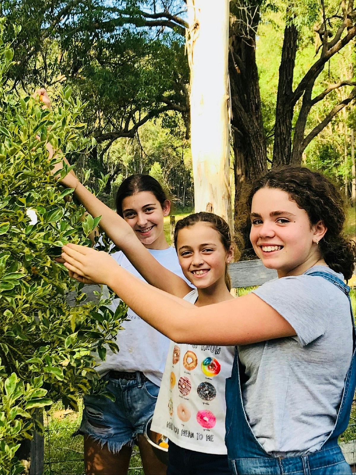 Wollombi Brook Family  Farm Stay