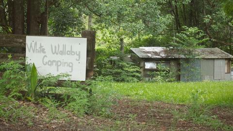 White Wallaby Farm