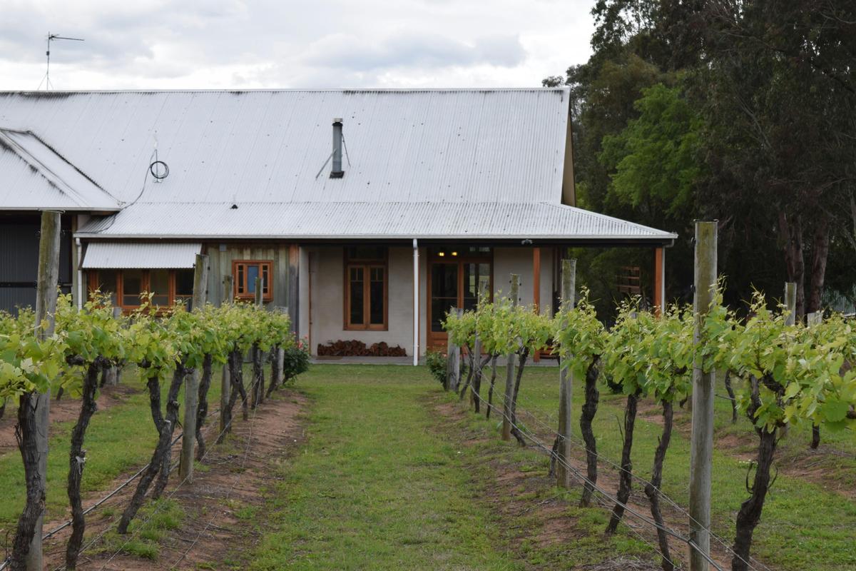 Beyond the cellar door