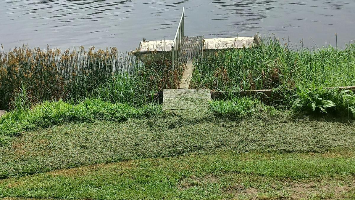 Wideriverwater