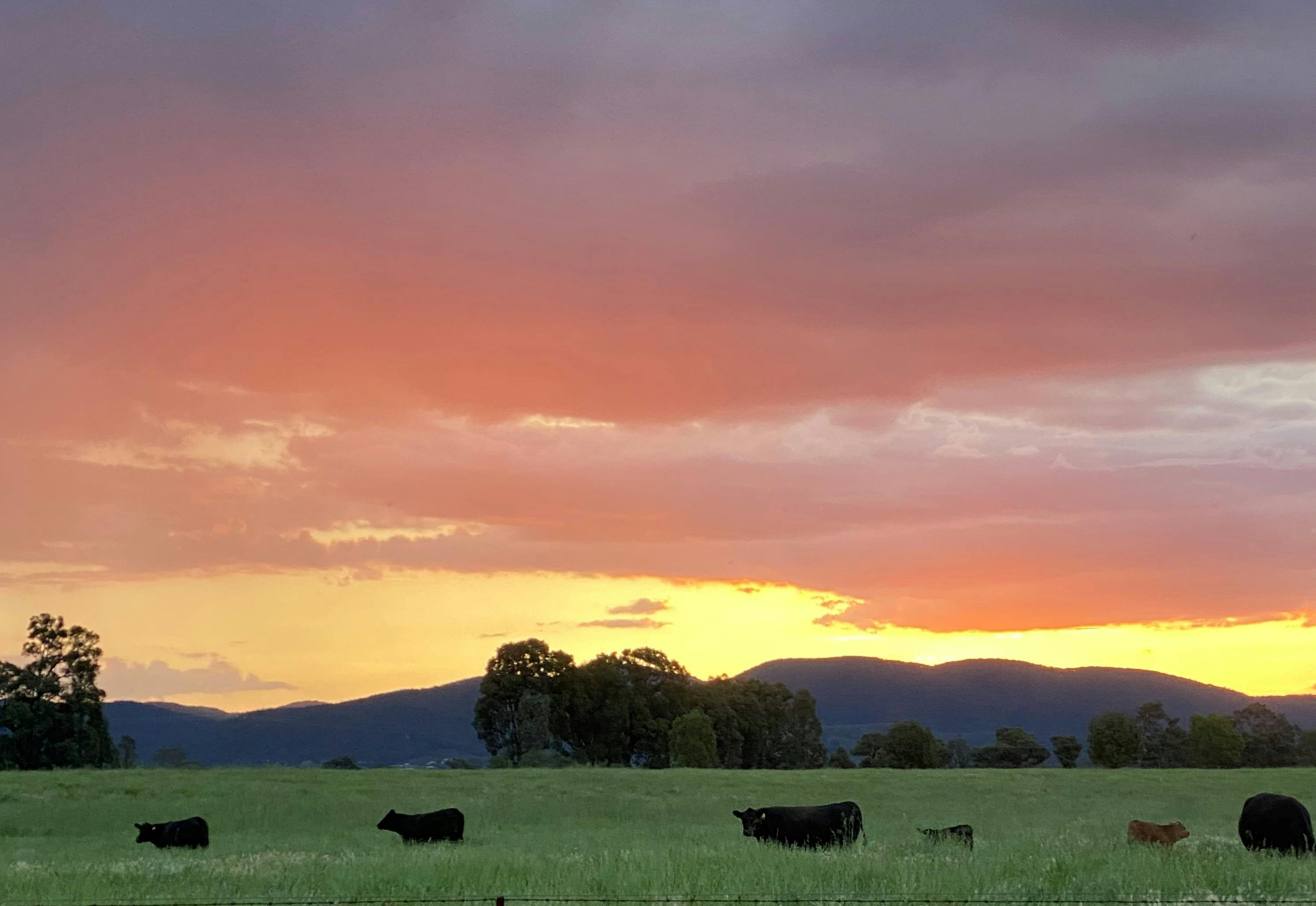 Sunset Over Wilgowrah