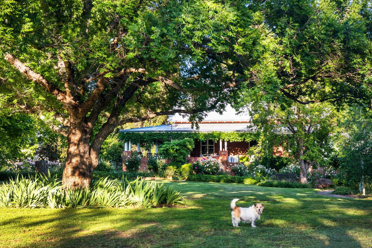 Wilgowrah -A Country Escape