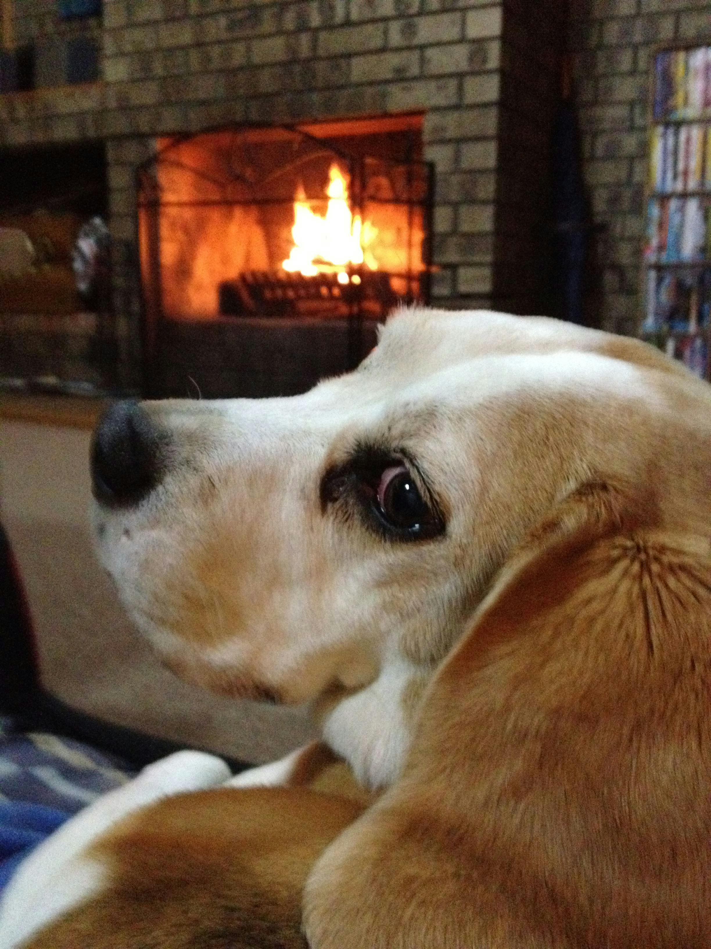 The Retreat on Matthew