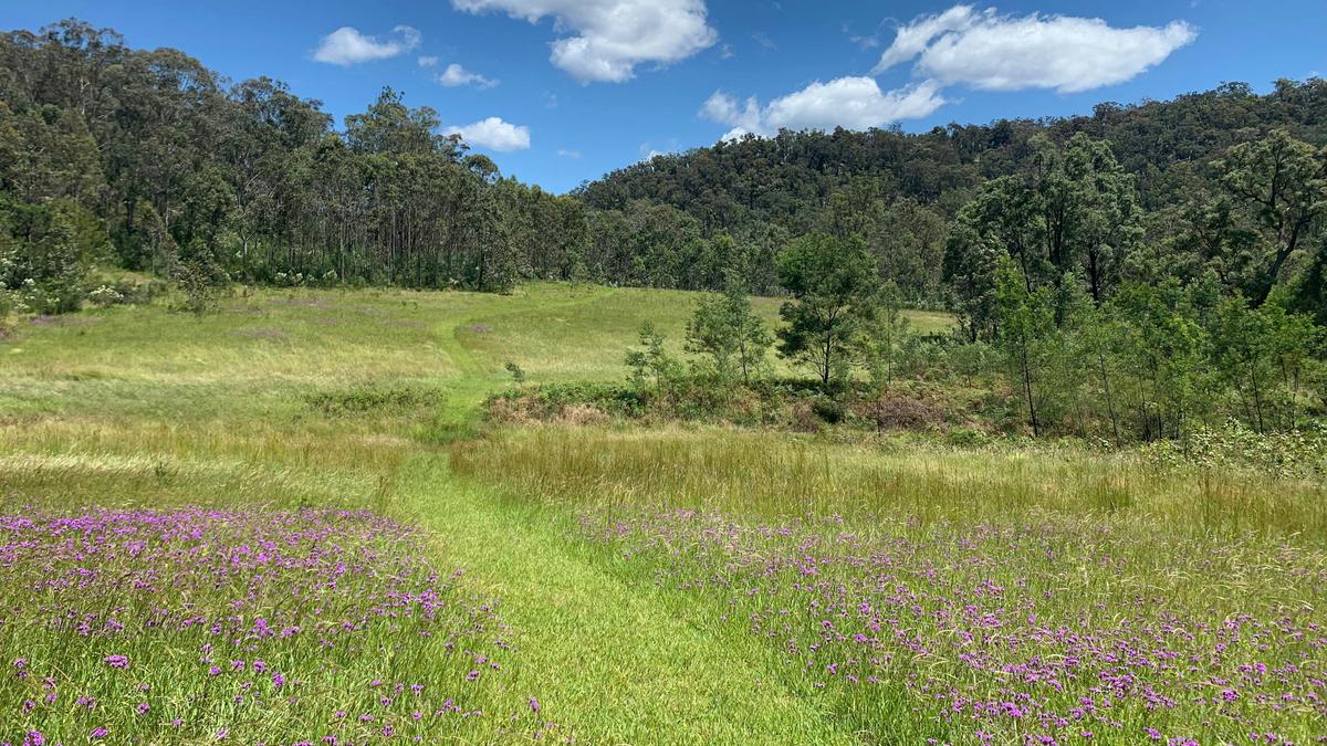 Yengo Bush Camp