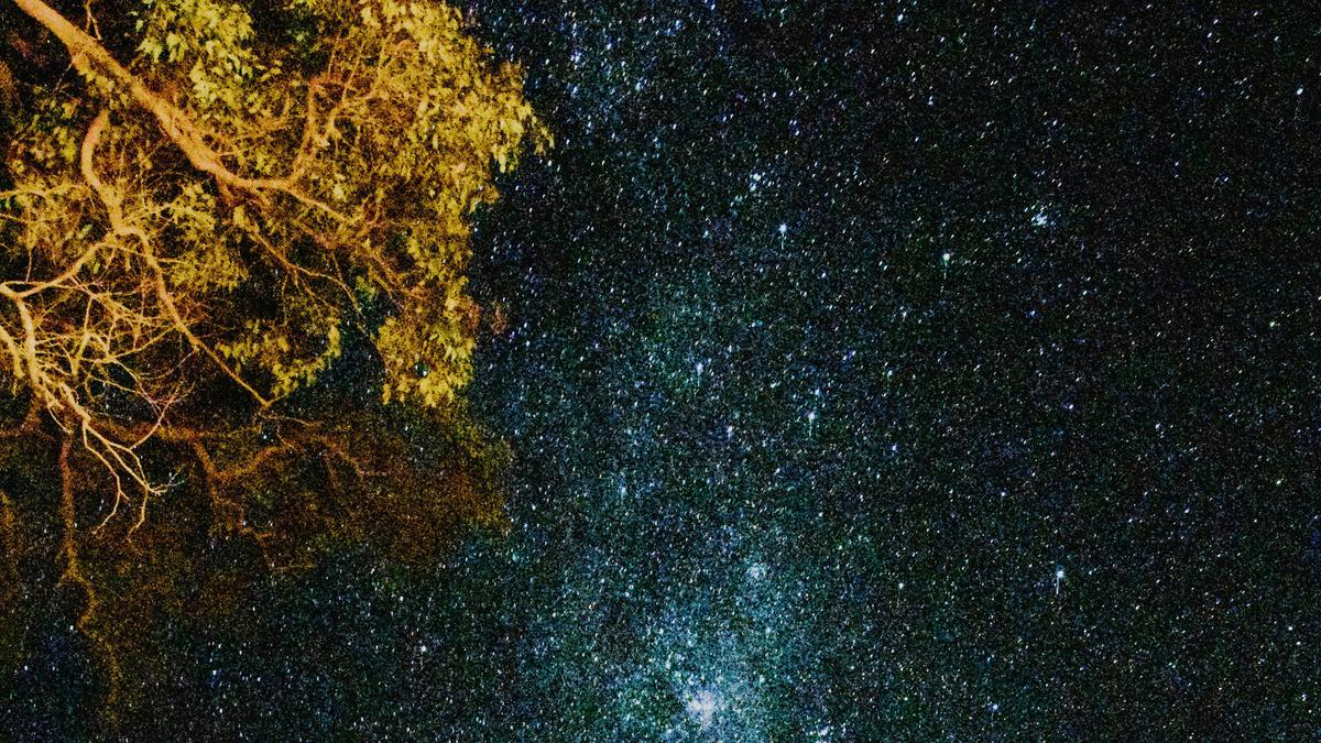 Yengo Bush Camp