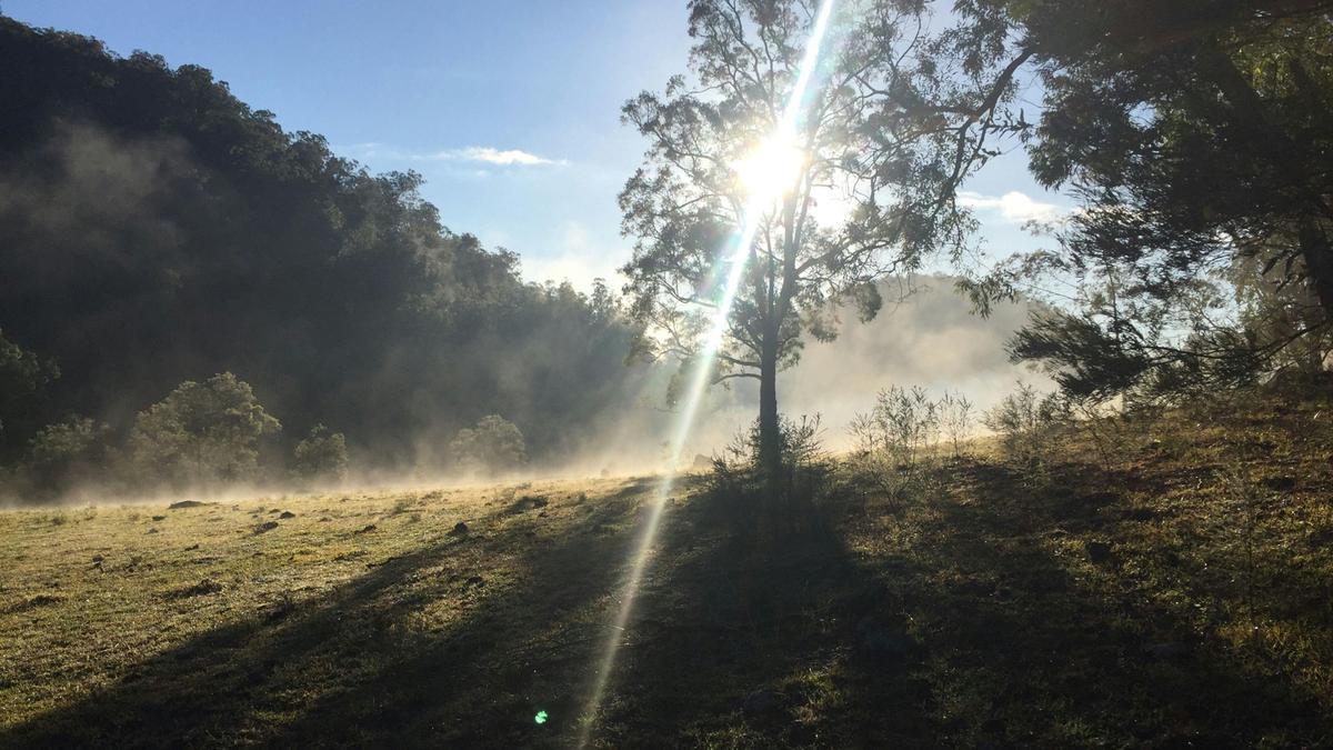 Yengo Bush Camp