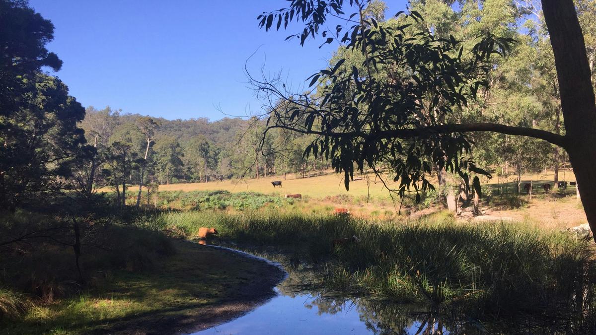 Yengo Bush Camp