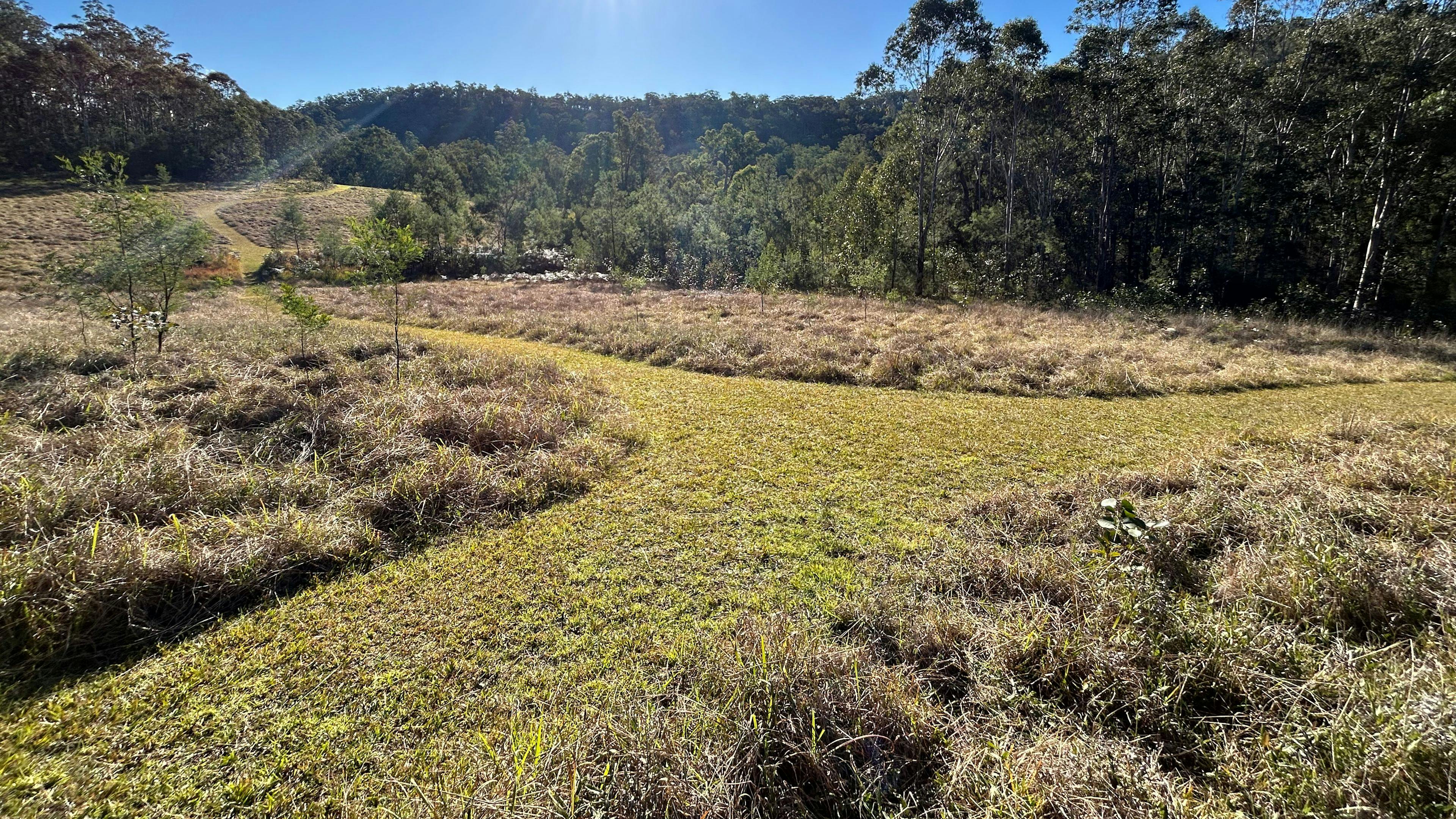 Yengo Bush Camp