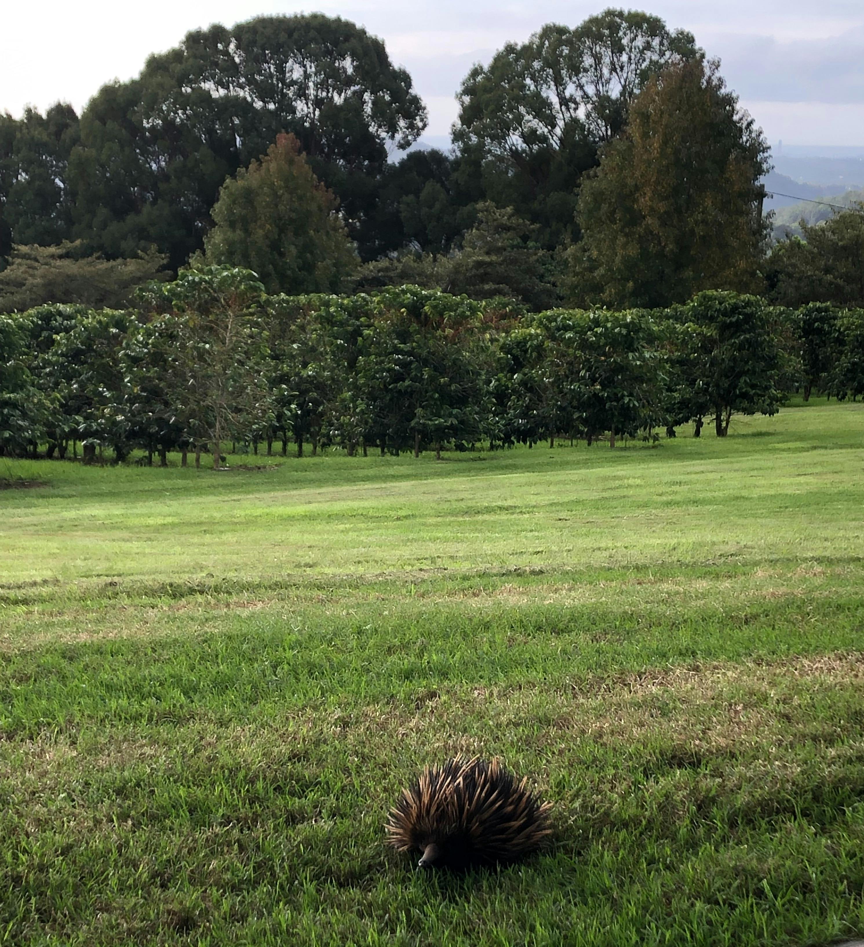 Checking in to Origin House