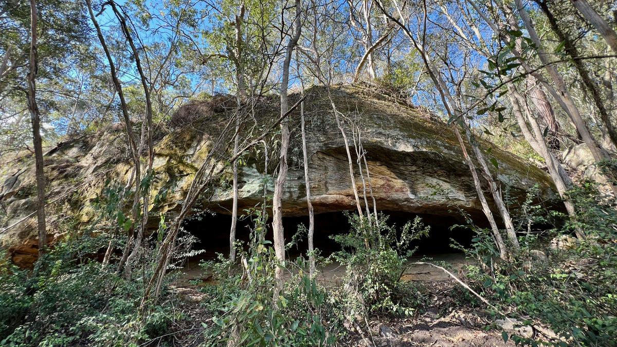 Wollombi Springs