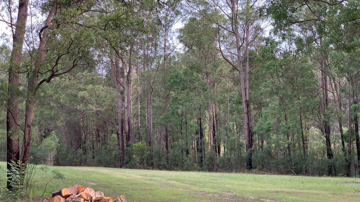 Wollombi Springs