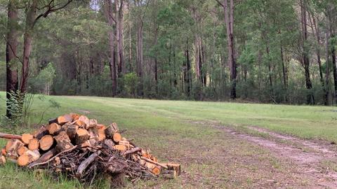 Wollombi Springs