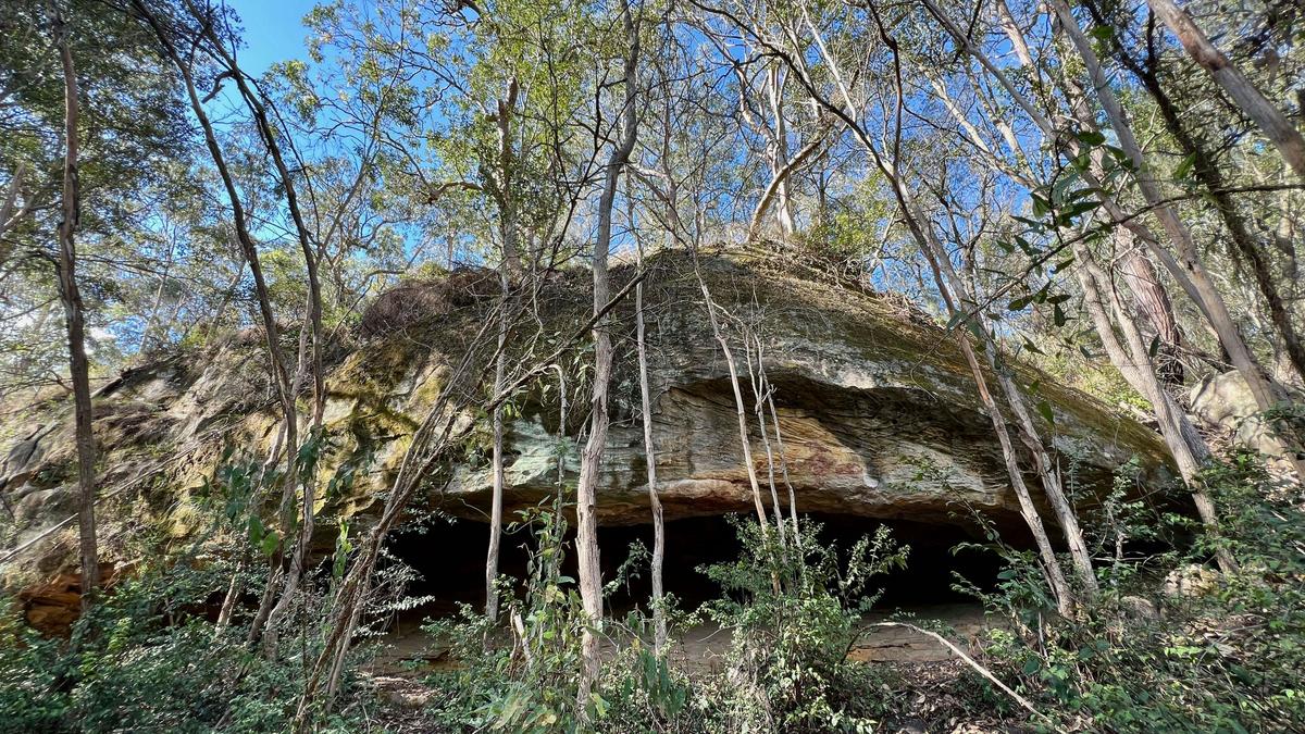 Wollombi Springs