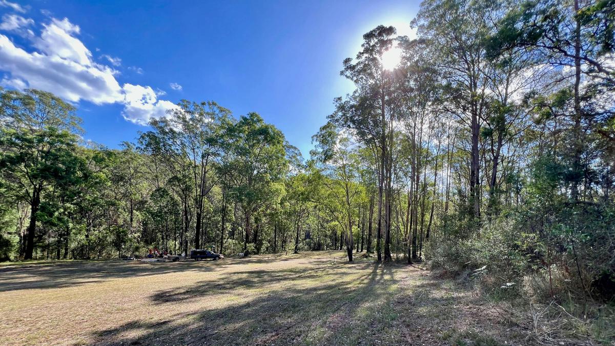 Wollombi Springs