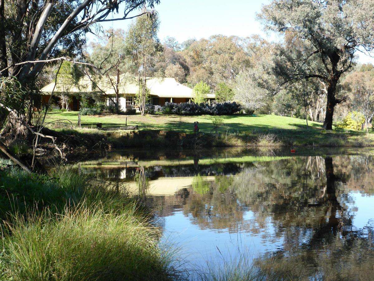 Gusethouse over Sapling Gully