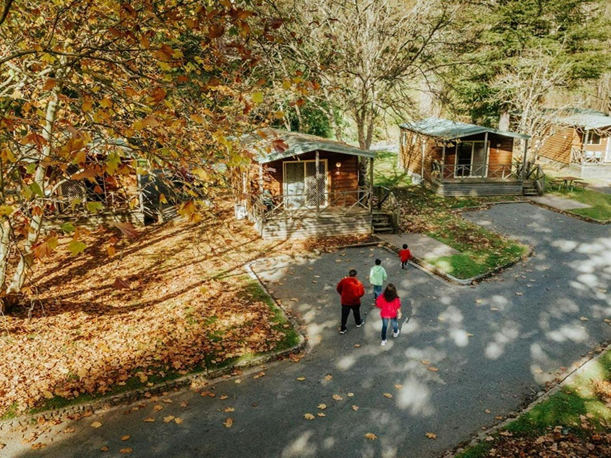 A family group walk towards the cabins, which are sheltered under tall trees, Wombeyan Karst