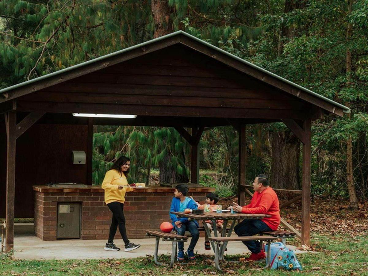A mother brings dinner to her 2 young sons and husband from the barbecue area at Wombeyan Caves
