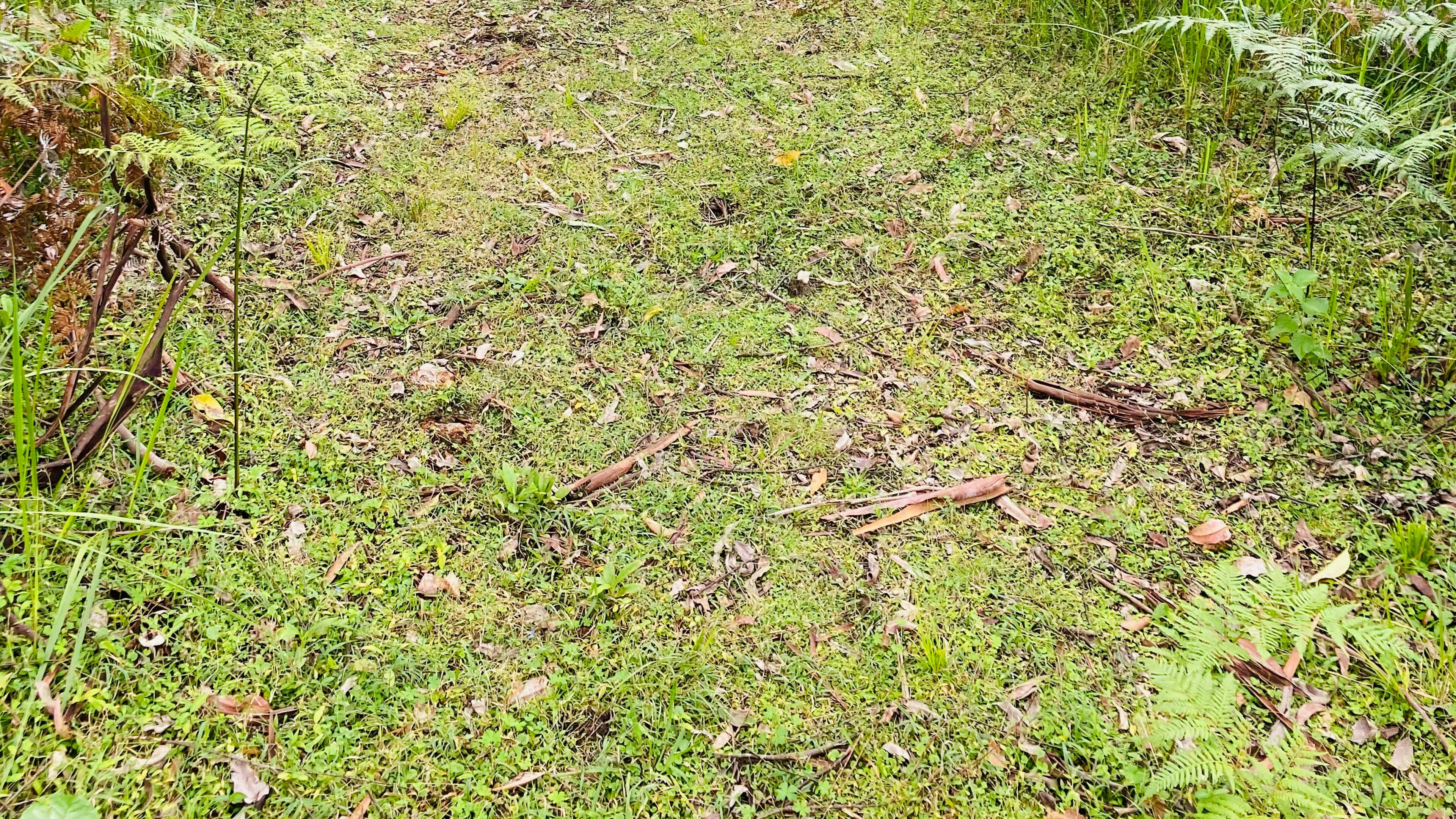 Outside view of the worm composting loo, located about 20 metres from the camping shelter