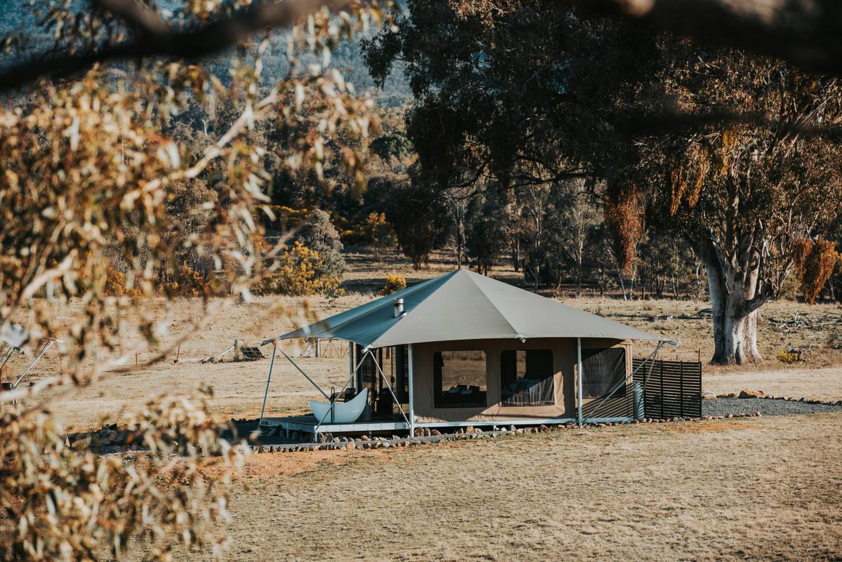 Kookaburra Tent: Immersed in Nature